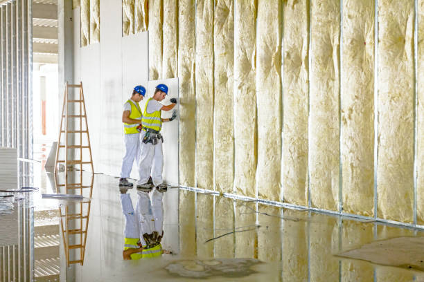 Best Specialized Insulation Services in South Paris, ME